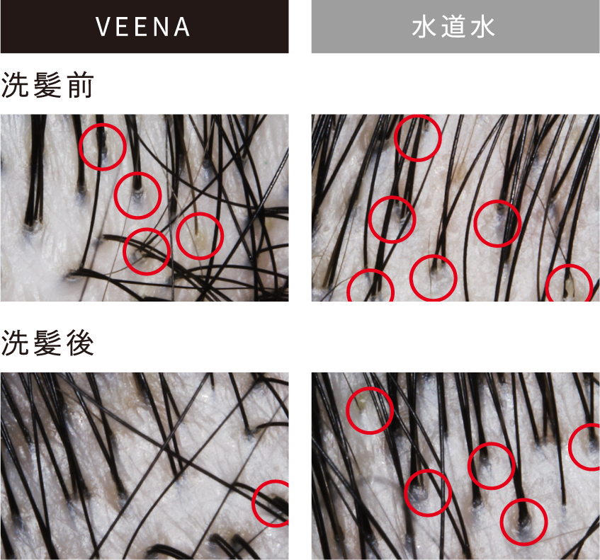 VEENAと水道水の比較